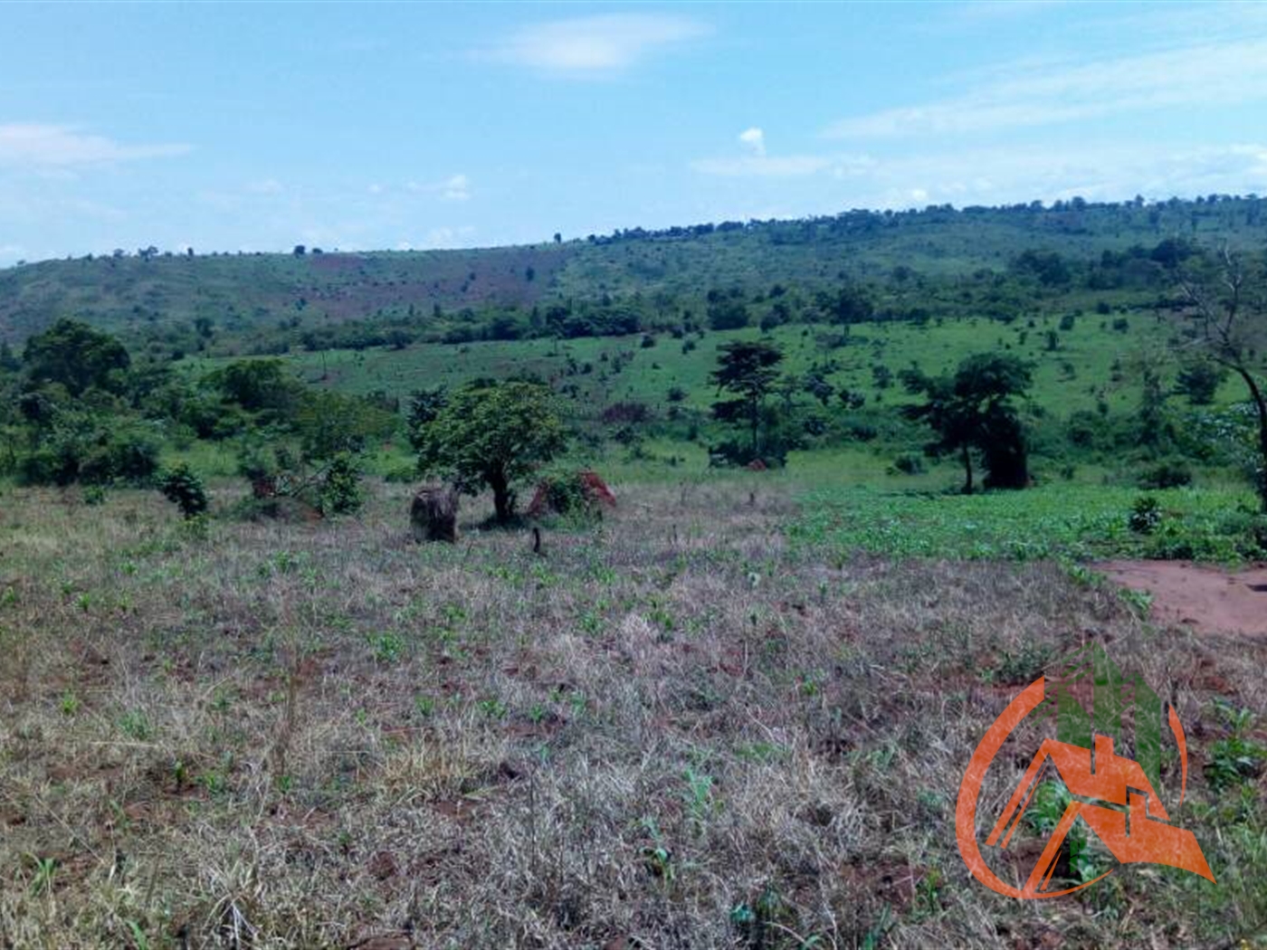 Agricultural Land for sale in Namutamba Mityana