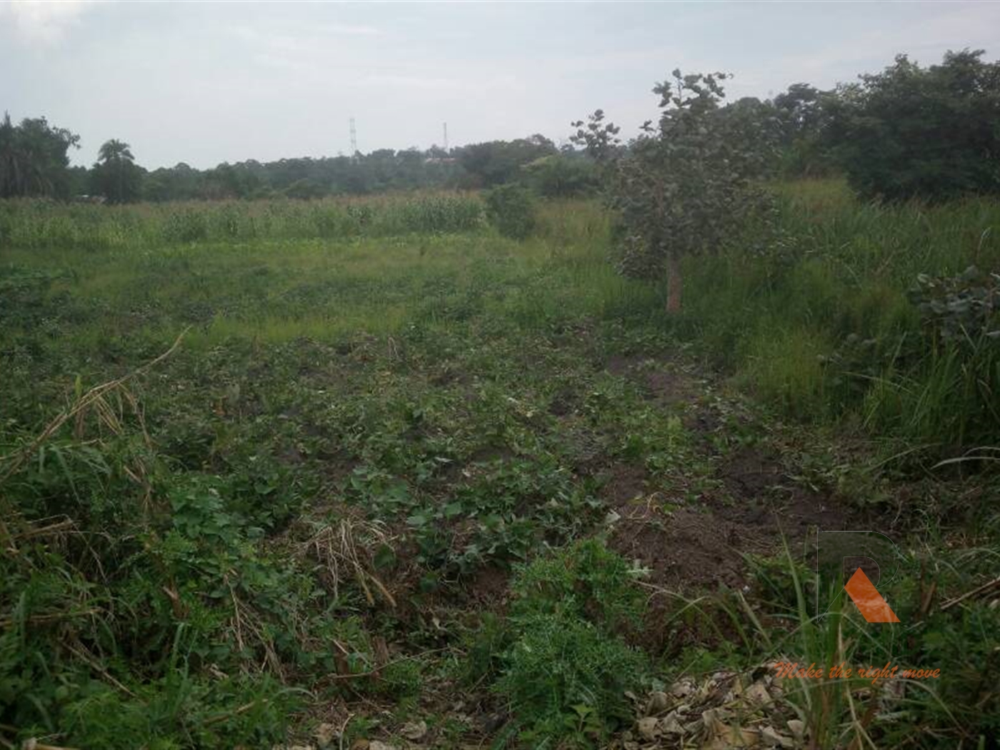 Agricultural Land for sale in Bombo Luweero