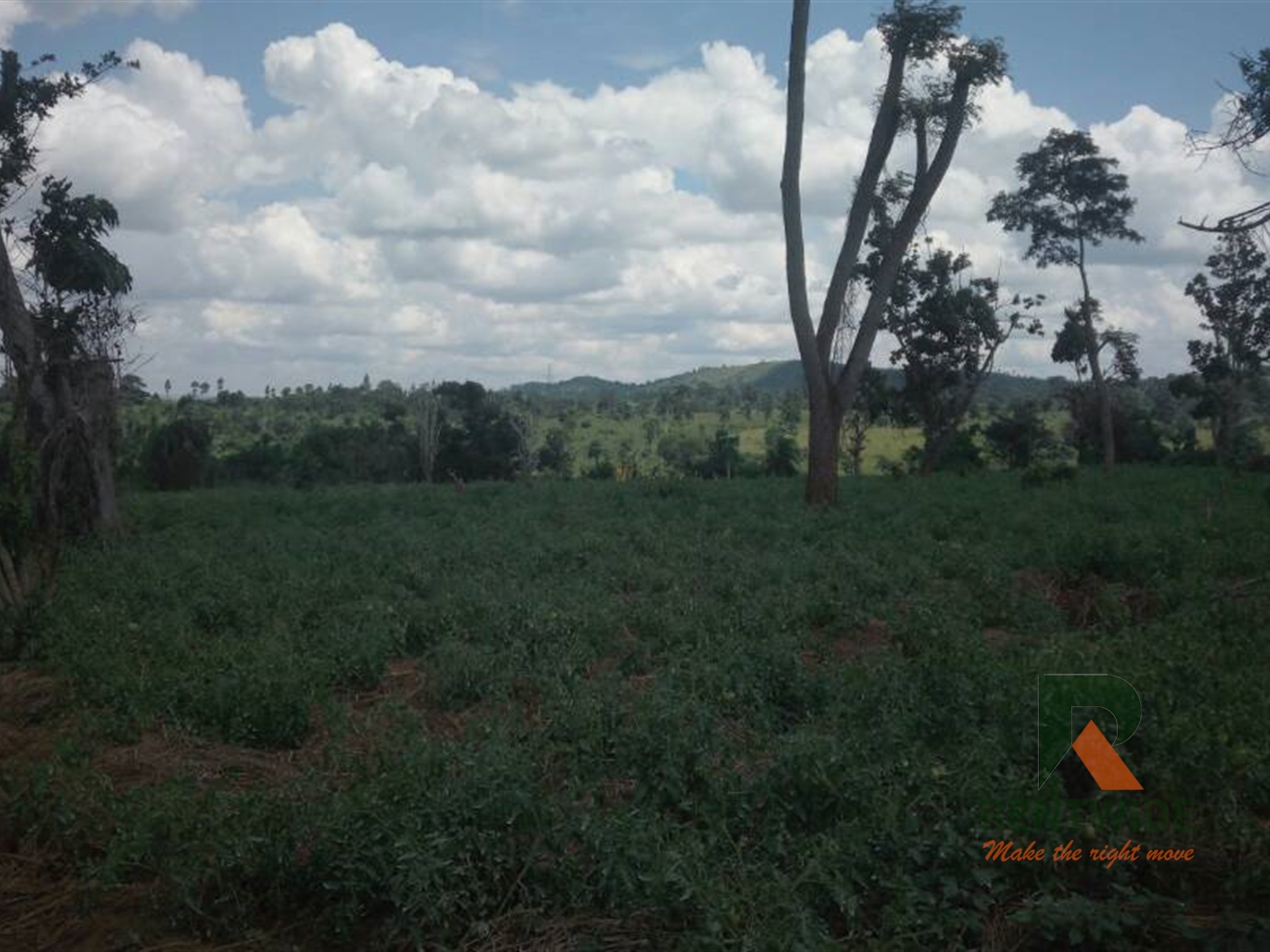 Agricultural Land for sale in Ssemuto Nakaseke