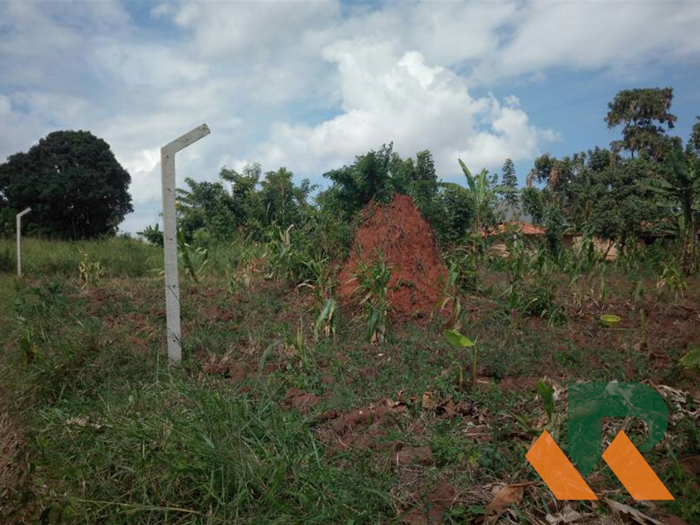 Agricultural Land for sale in Namulonge Wakiso