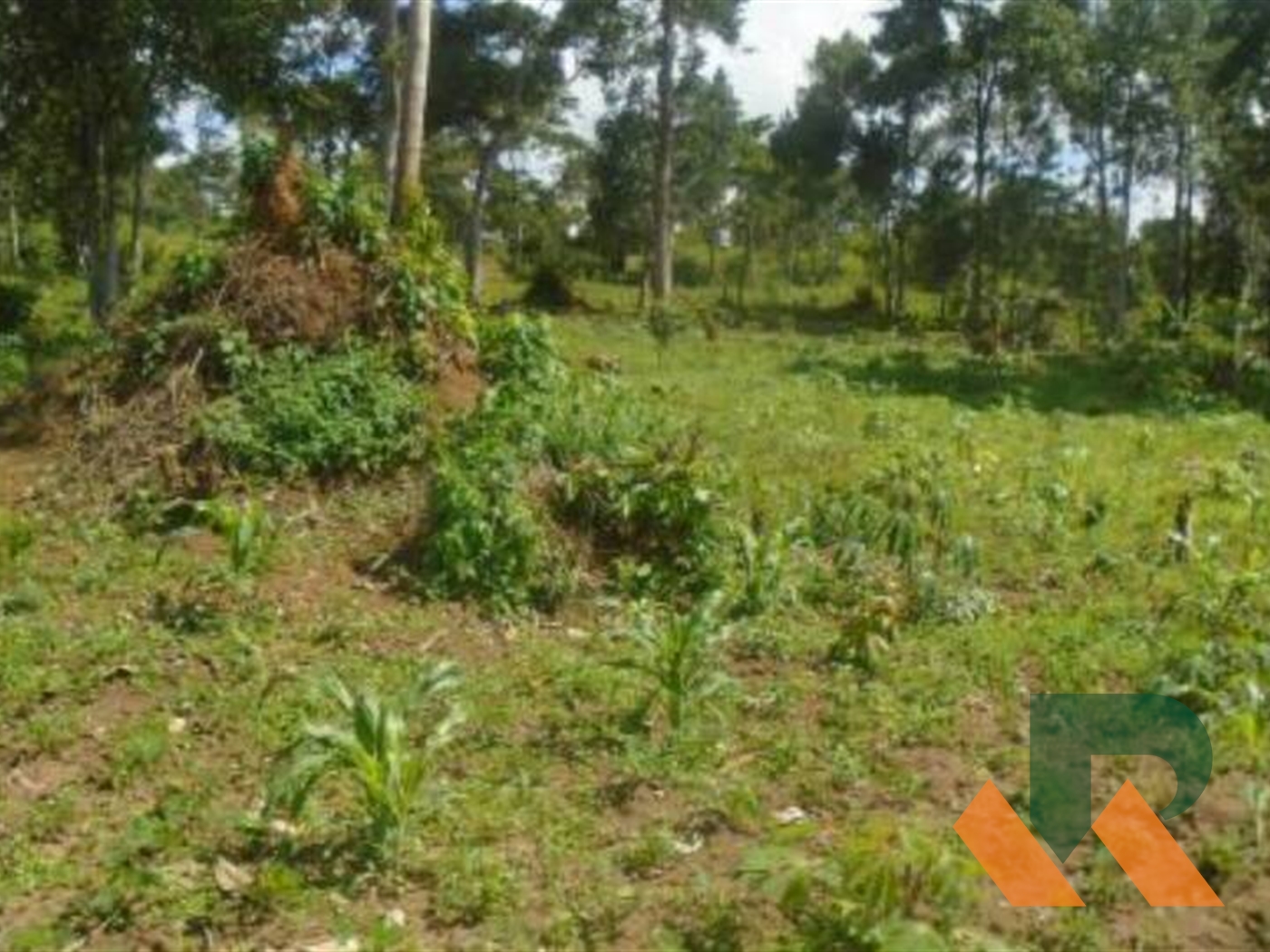 Residential Land for sale in Bweya Wakiso