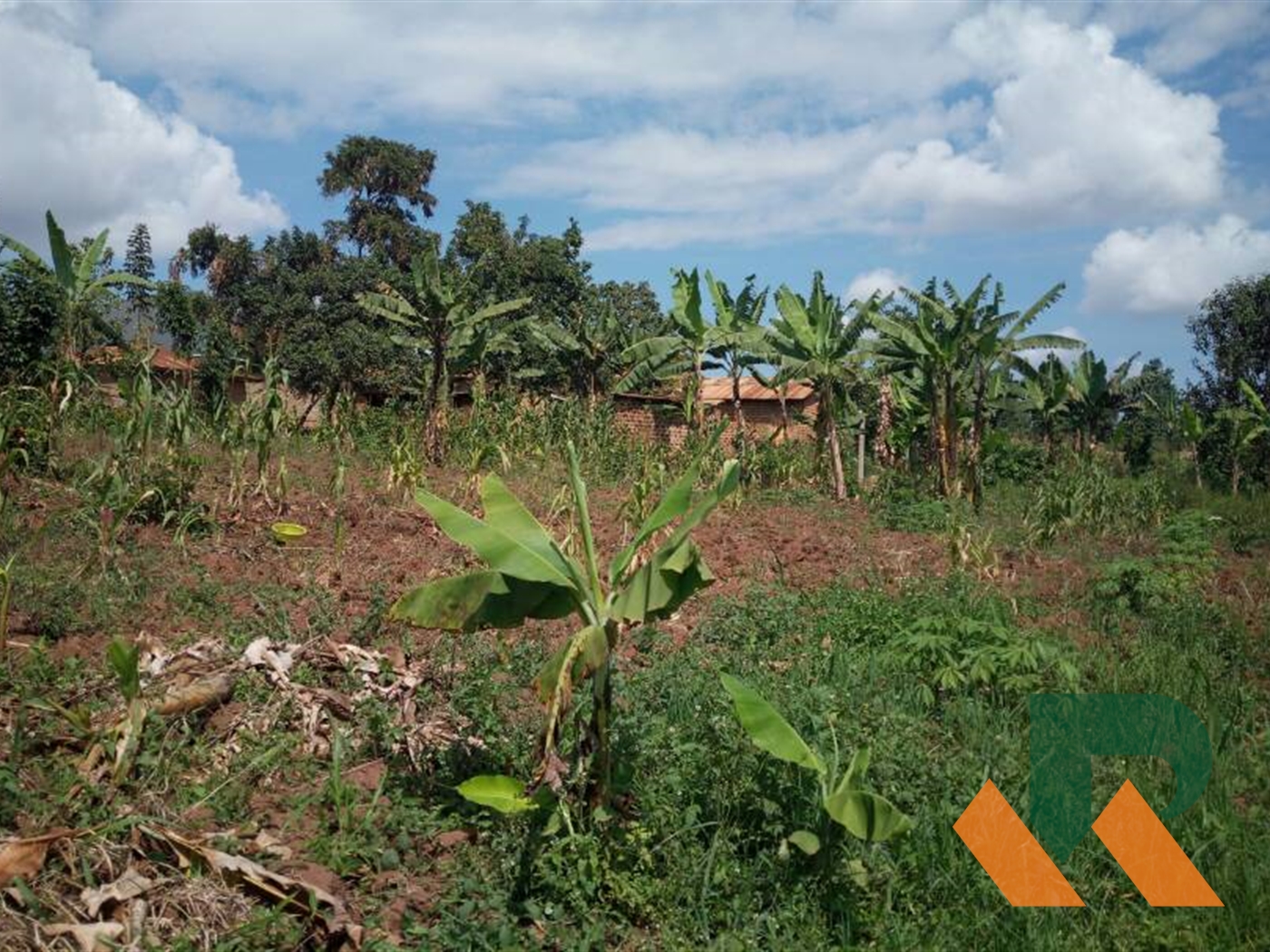 Agricultural Land for sale in Sugu Mukono