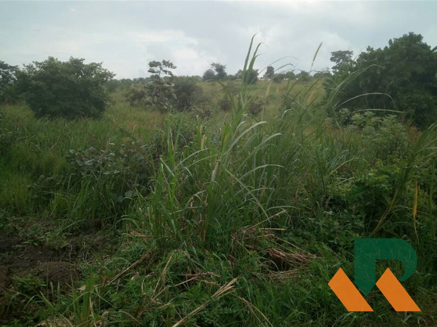 Residential Land for sale in Kyanja Kampala