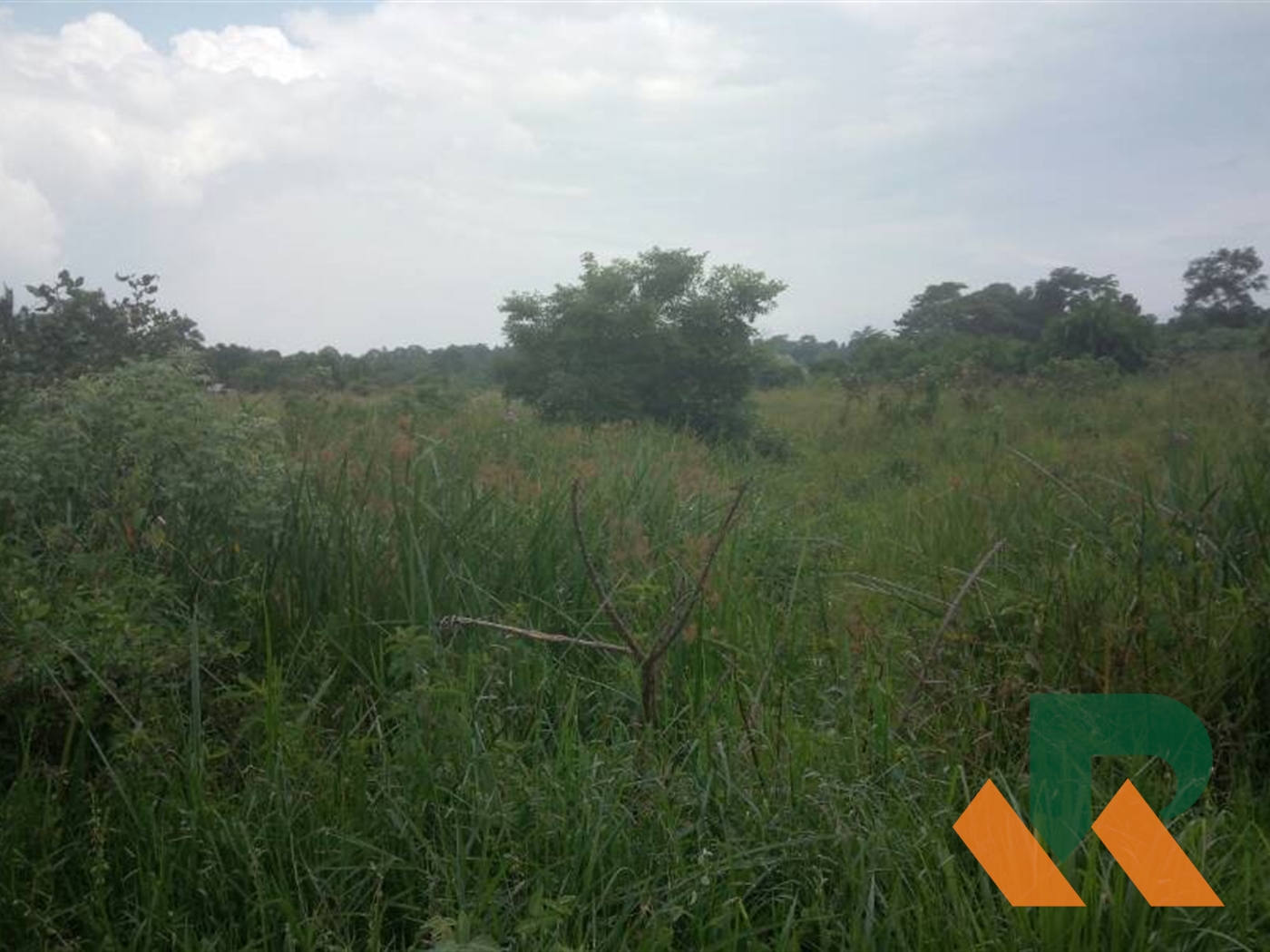 Agricultural Land for sale in Kapeeka Nakaseke