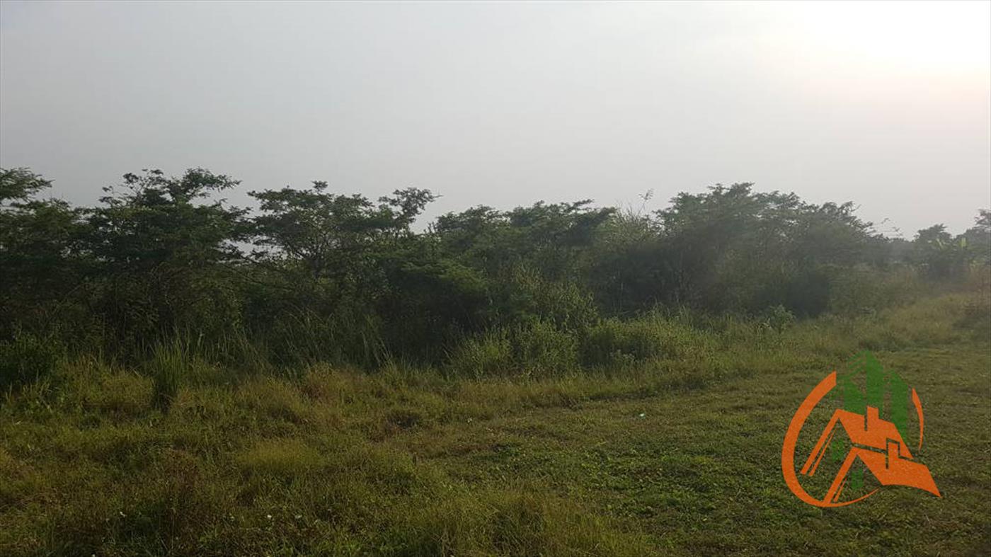 Agricultural Land for sale in Ziloobwe Luweero