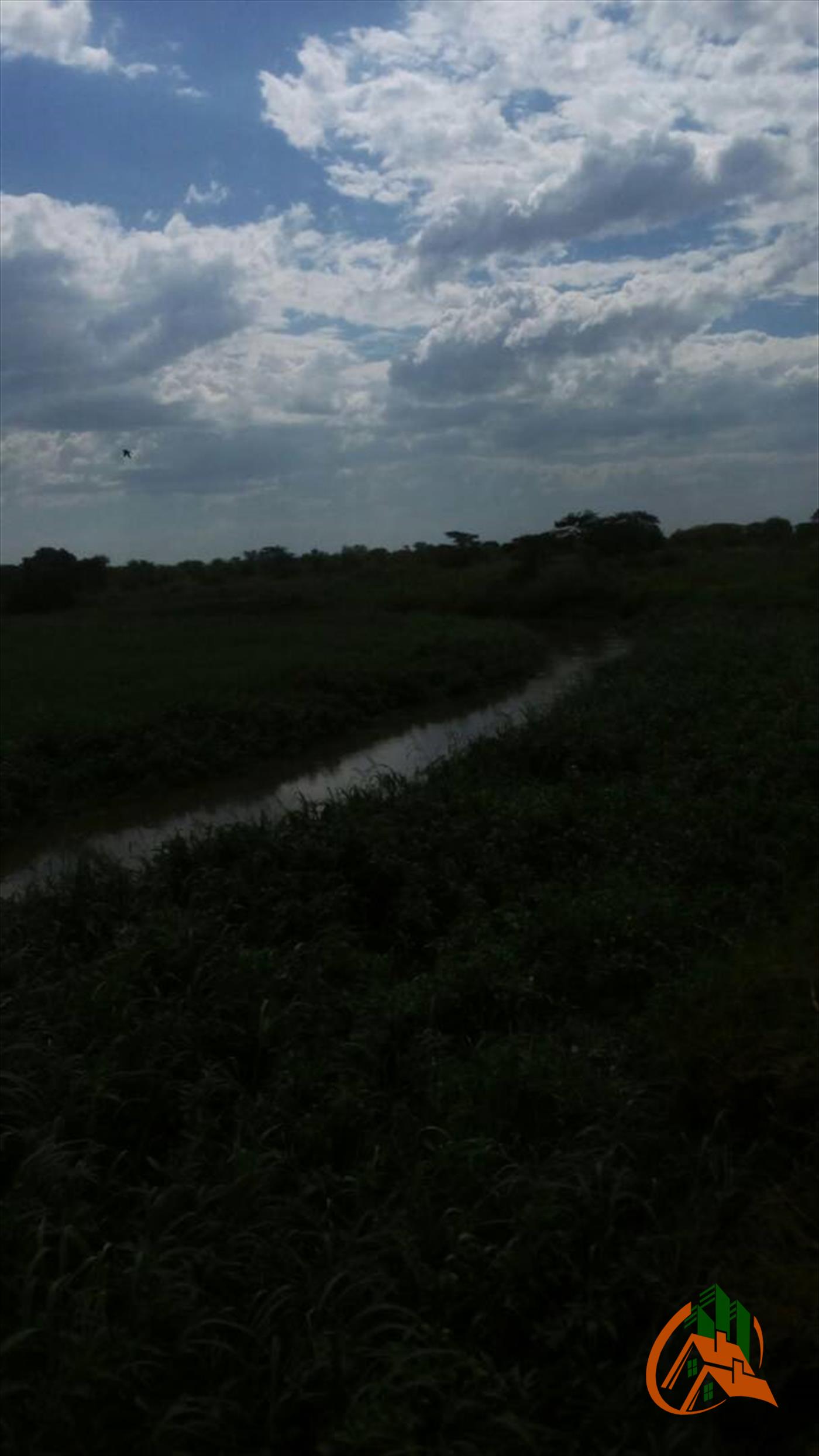 Agricultural Land for sale in Bulambuli Sironko