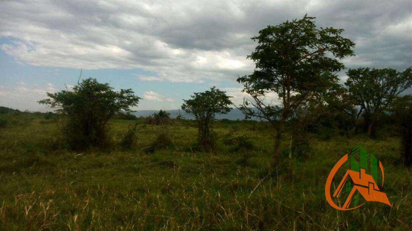 Agricultural Land for sale in Bulambuli Sironko