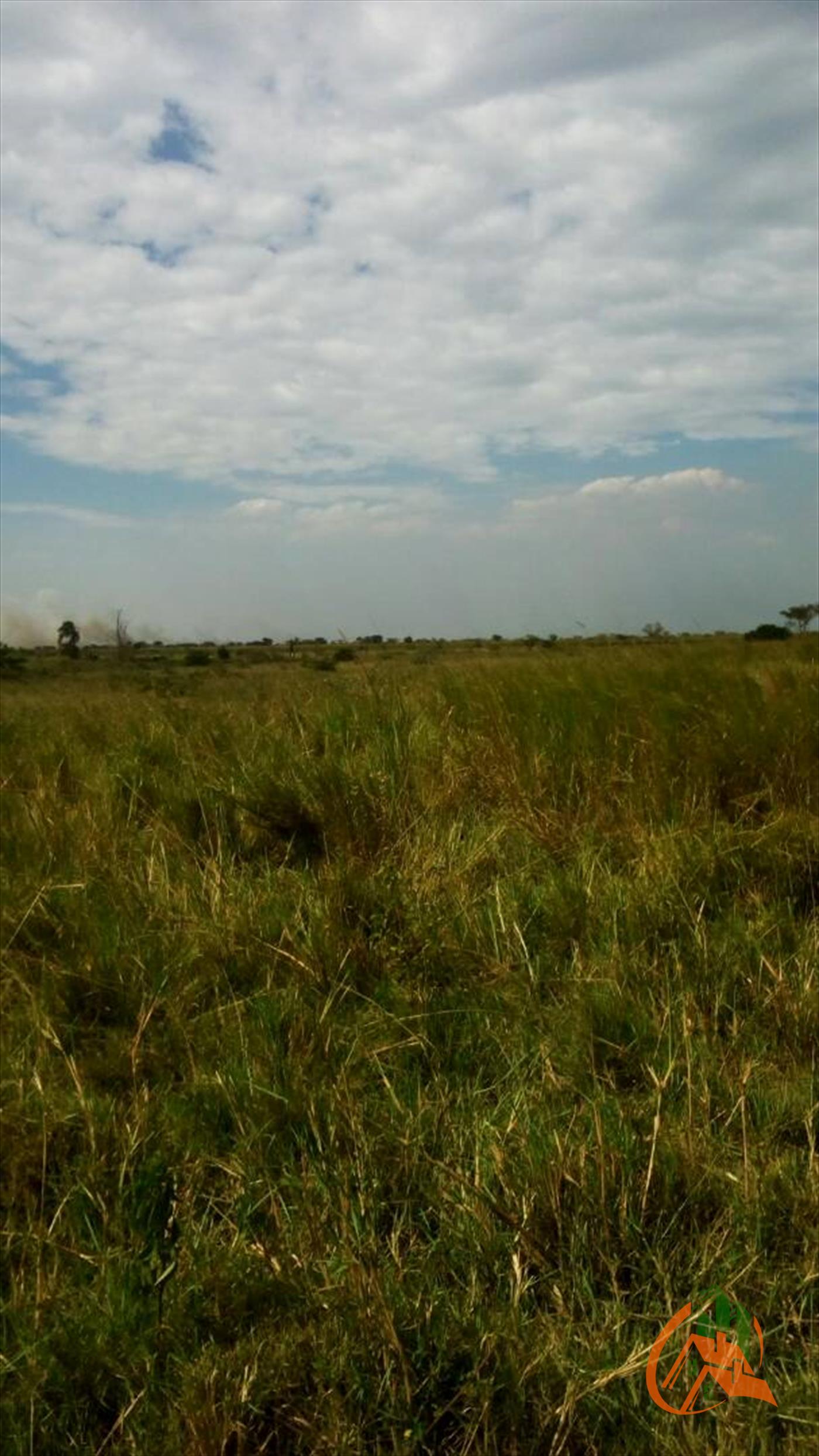 Agricultural Land for sale in Bulambuli Sironko