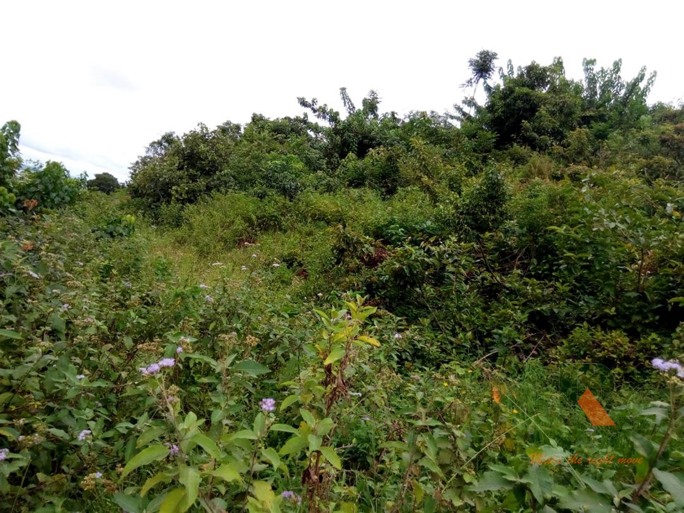 Residential Land for sale in Bwebajja Wakiso