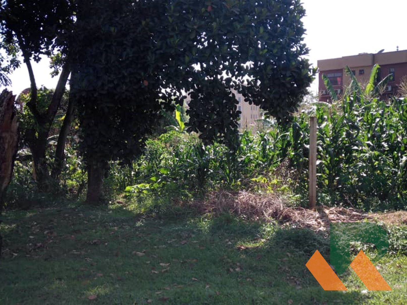 Residential Land for sale in Kololo Kampala