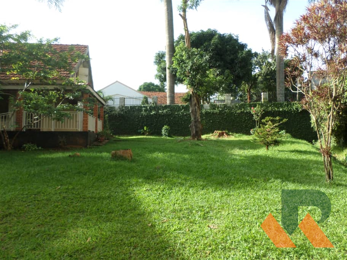 Bungalow for rent in Muyenga Kampala