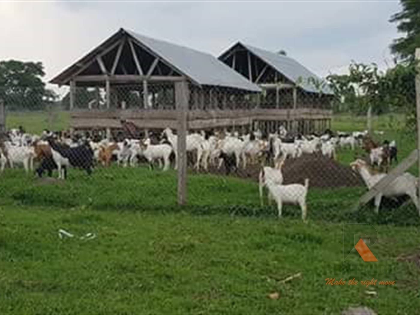 Agricultural Land for sale in Kayunga Kayunga
