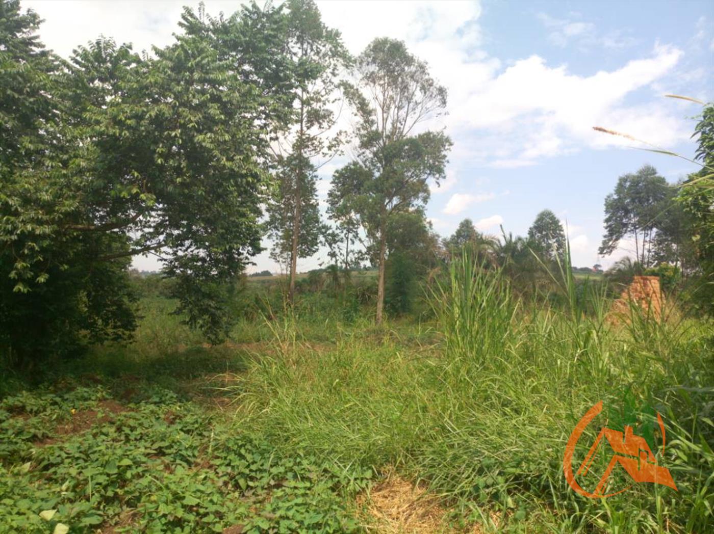 Agricultural Land for sale in Wakisotowncenter Wakiso