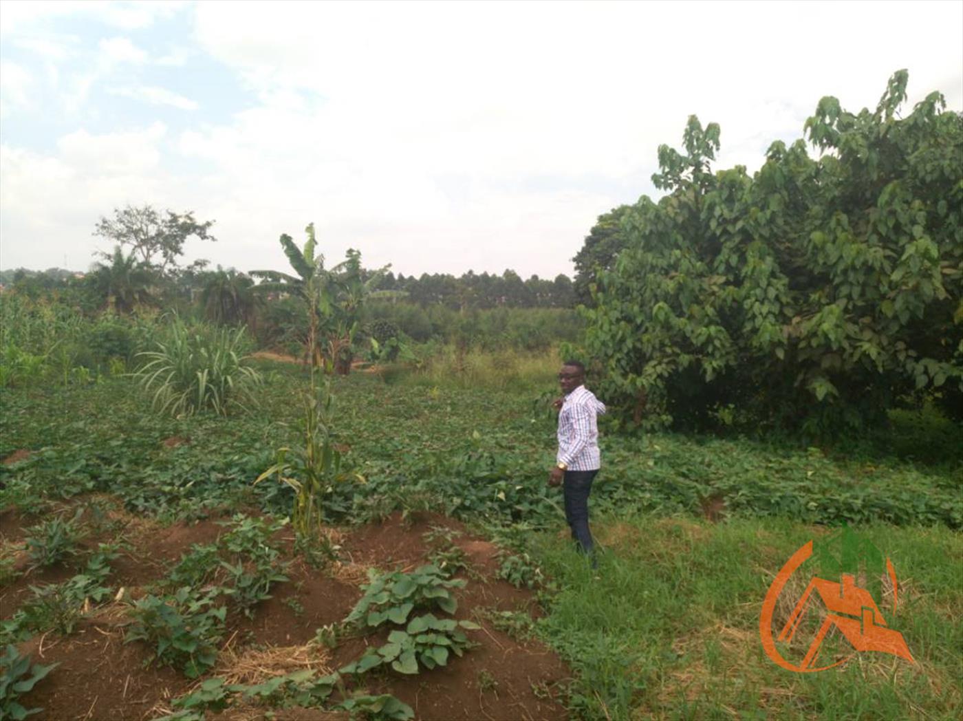 Agricultural Land for sale in Wakisotowncenter Wakiso