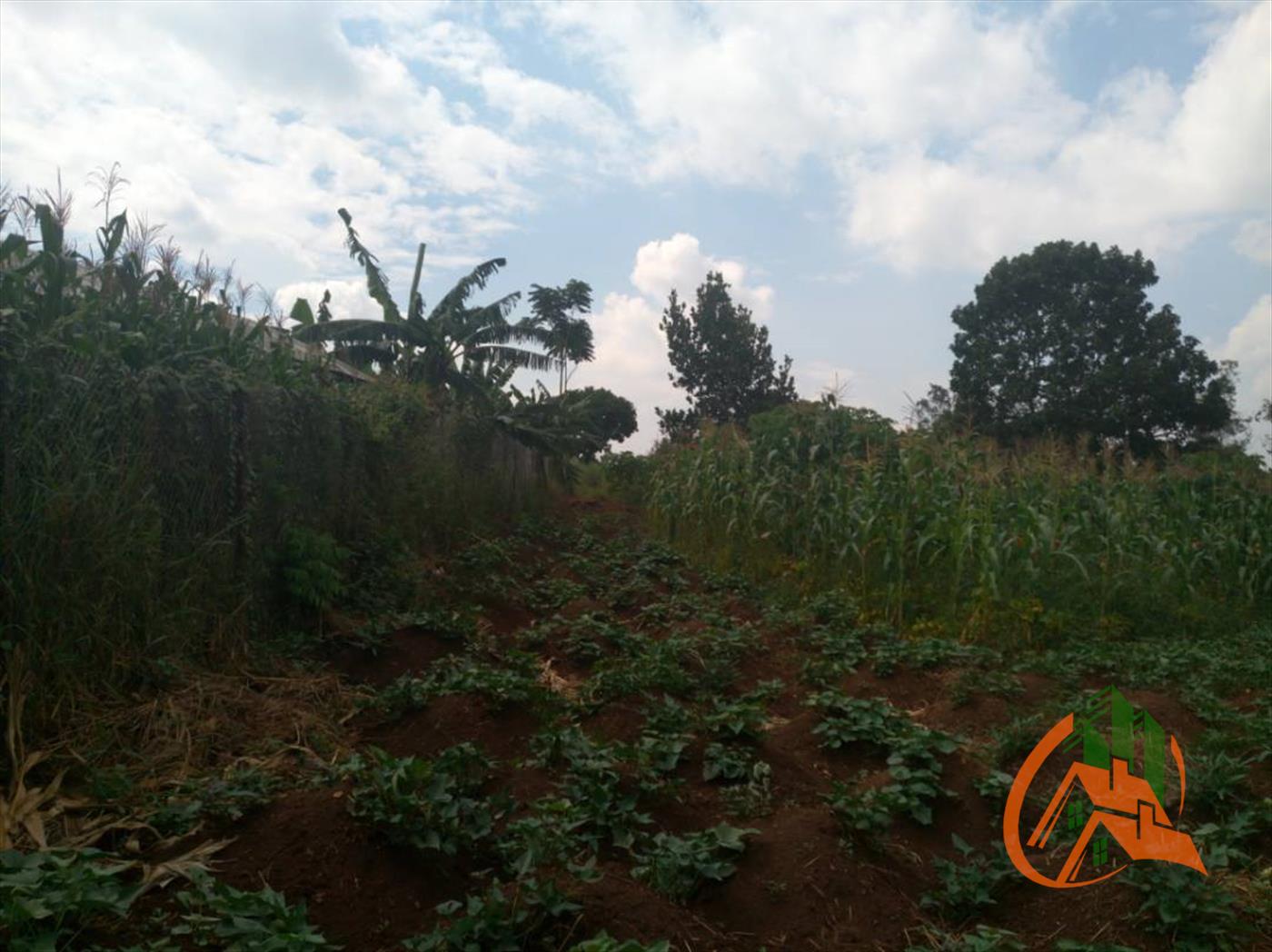 Agricultural Land for sale in Wakisotowncenter Wakiso