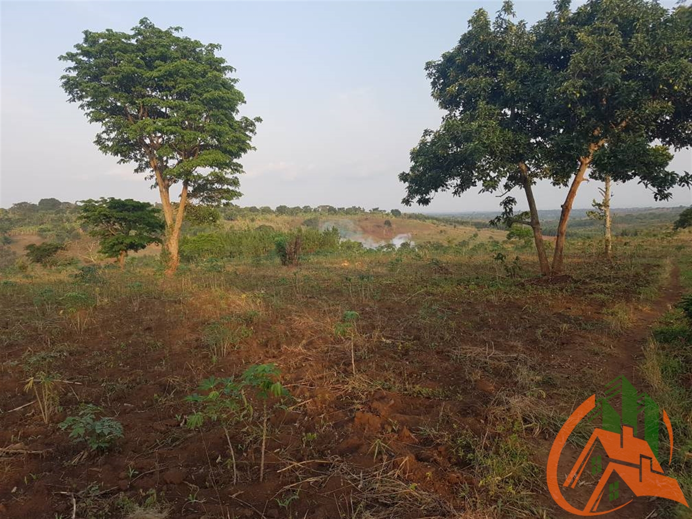Agricultural Land for sale in Nalutuntu Mubende