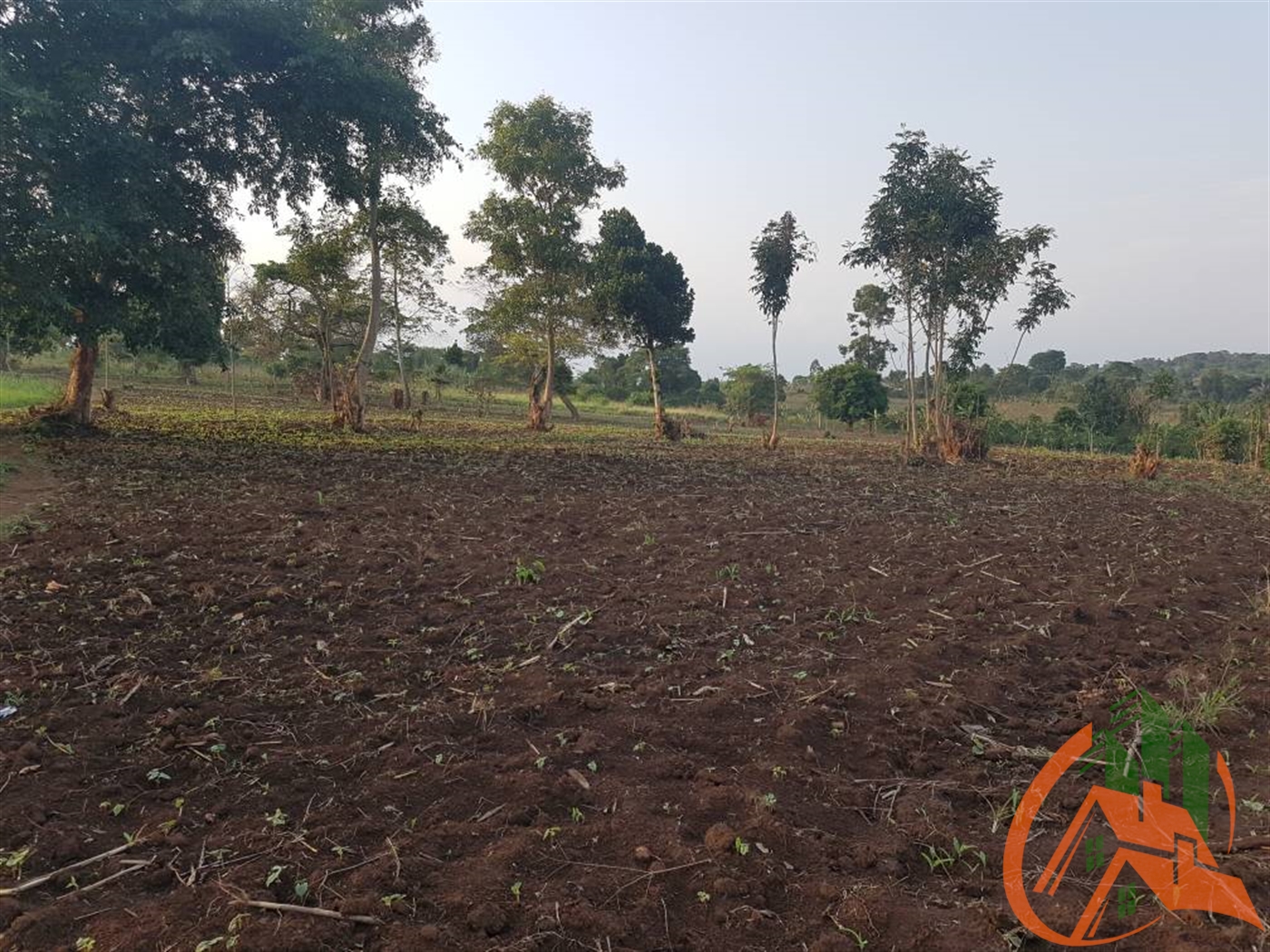 Agricultural Land for sale in Nalutuntu Mubende