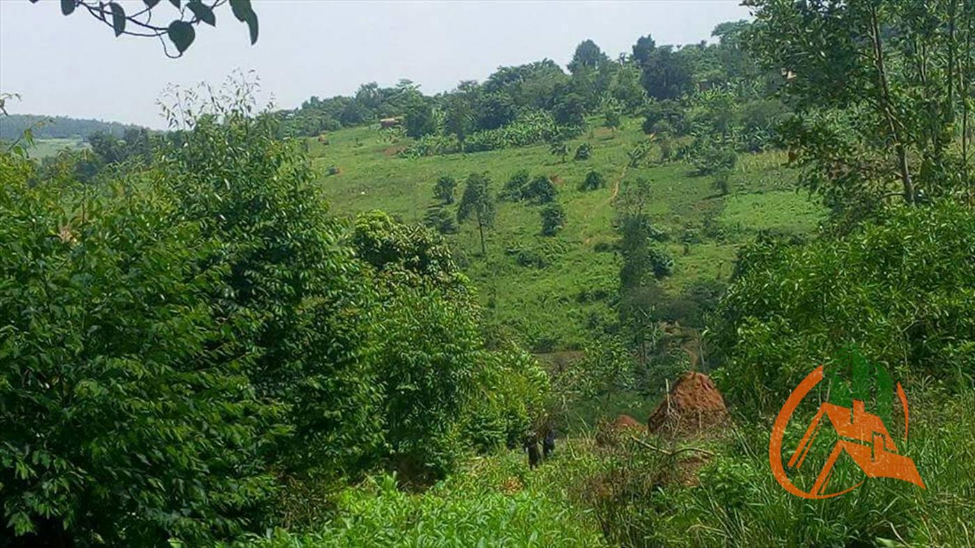 Residential Land for sale in Kavumba Wakiso