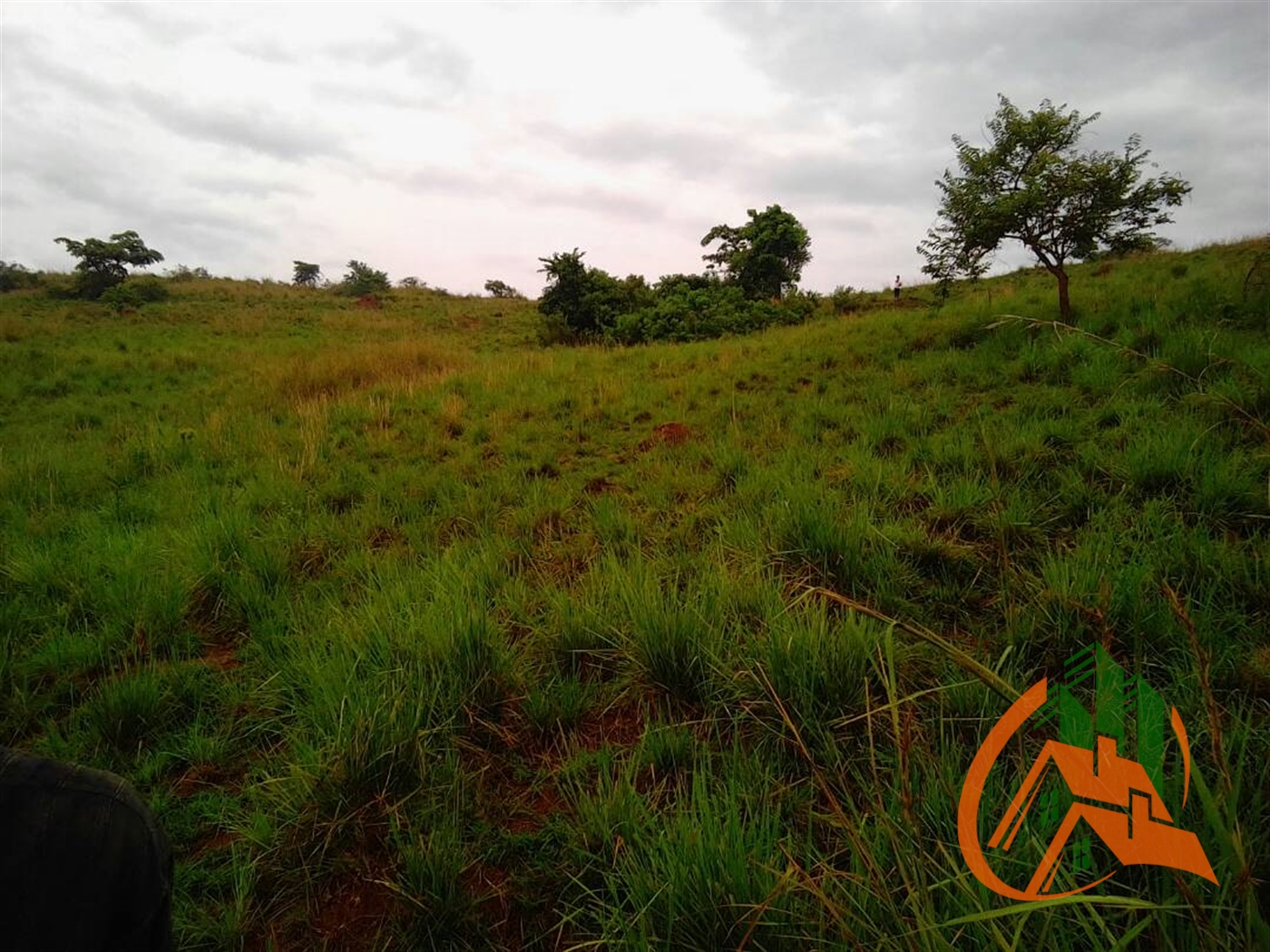 Multipurpose Land for sale in Kitavujja Mpigi