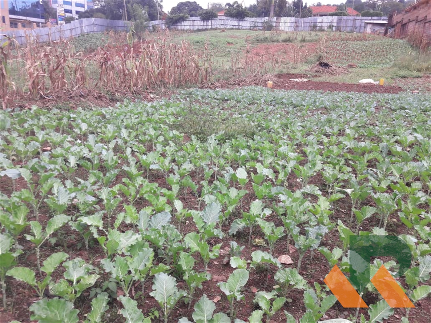 Commercial Land for sale in Kololo Kampala