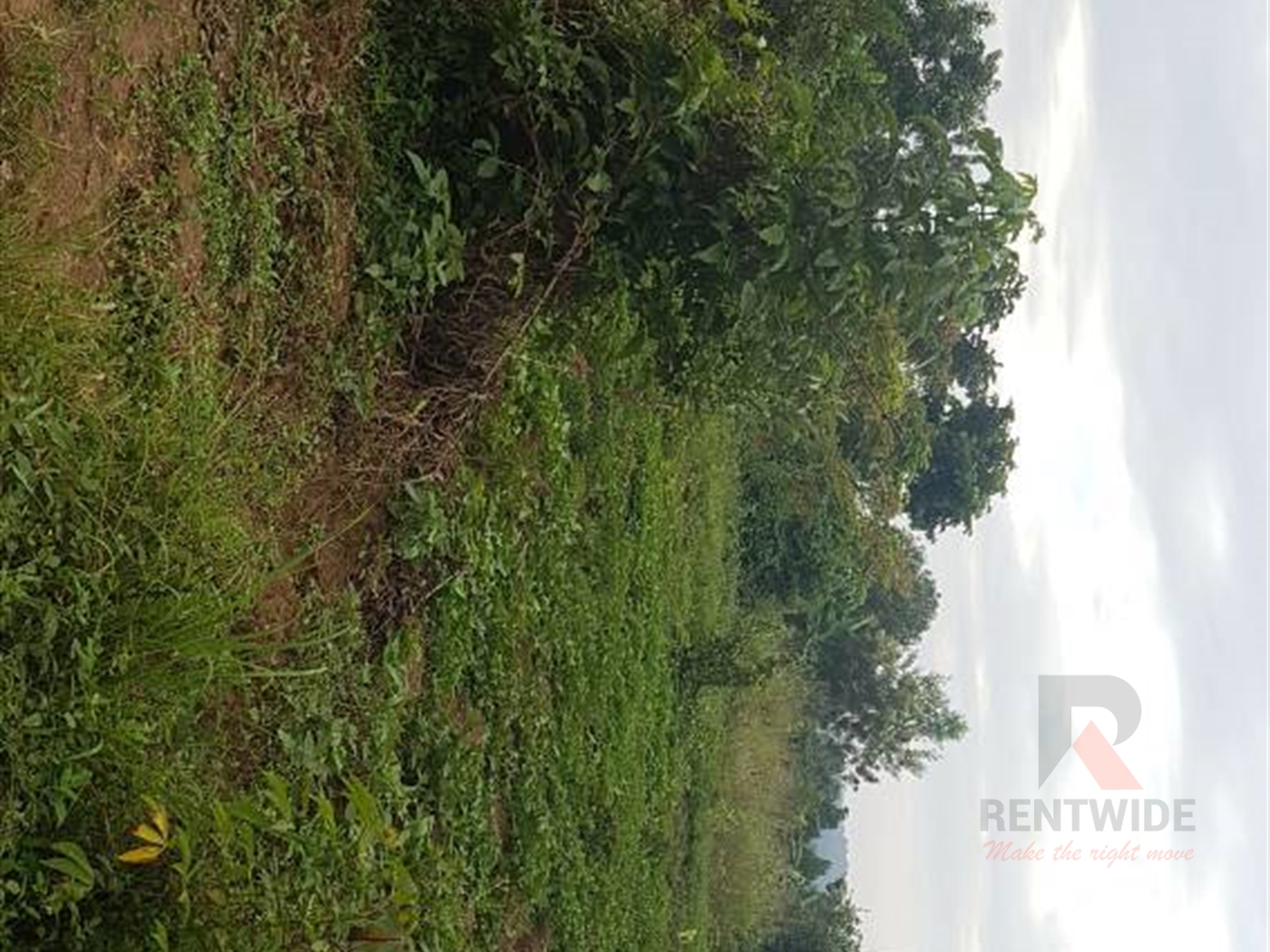 Agricultural Land for sale in Kiwenda Wakiso