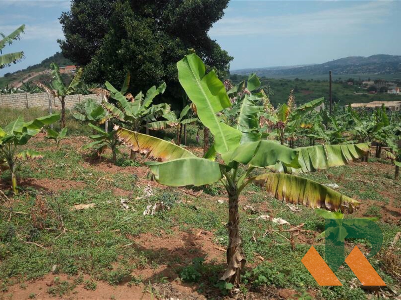 Residential Land for sale in Lubowa Wakiso