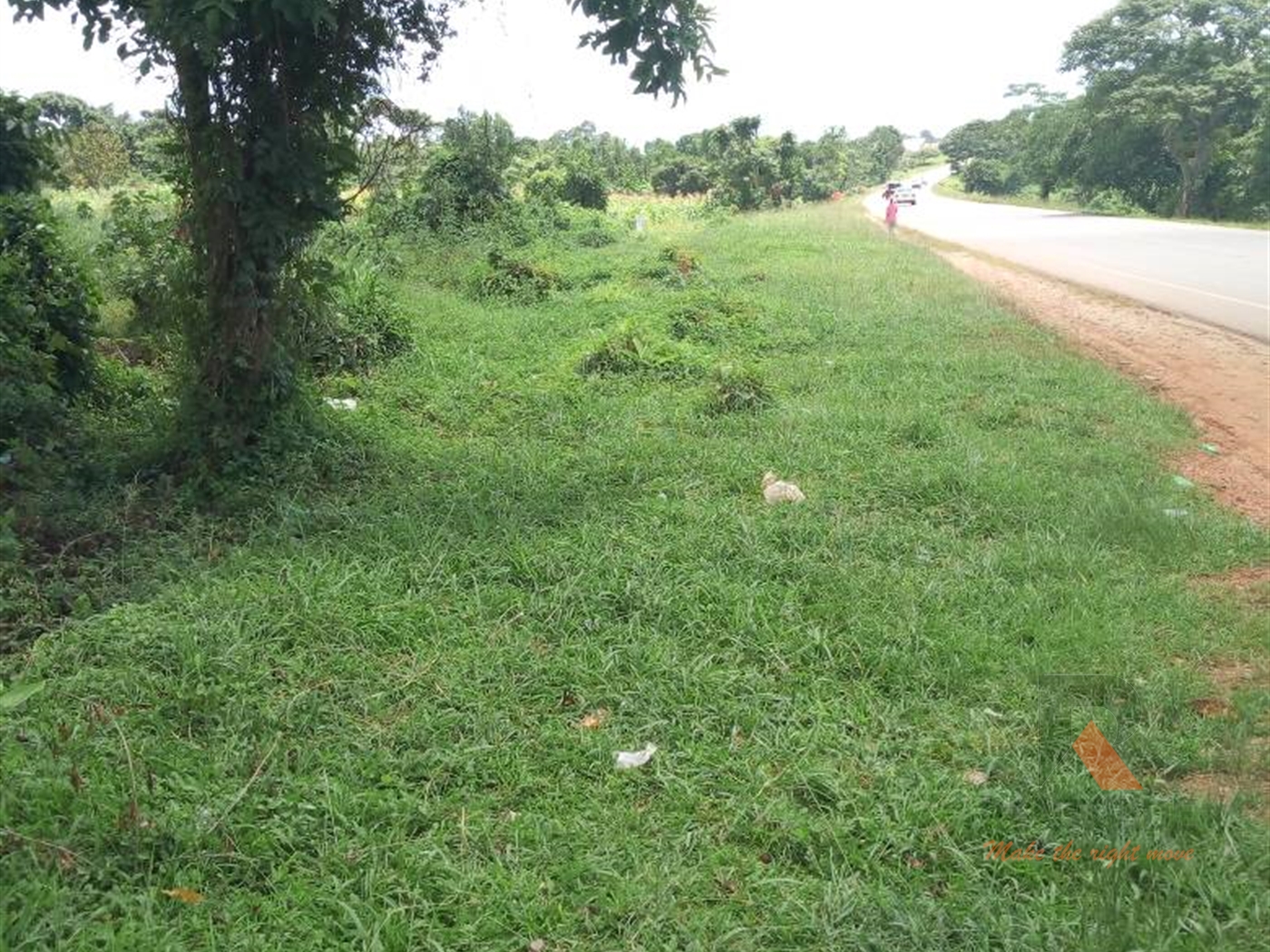 Agricultural Land for sale in Butanza Luweero