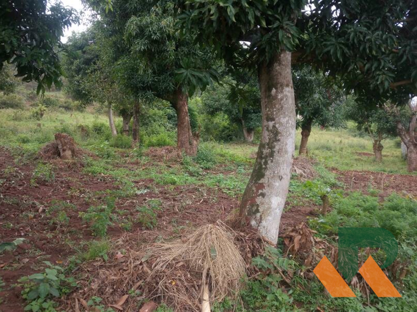 Residential Land for sale in Bwebajja Wakiso