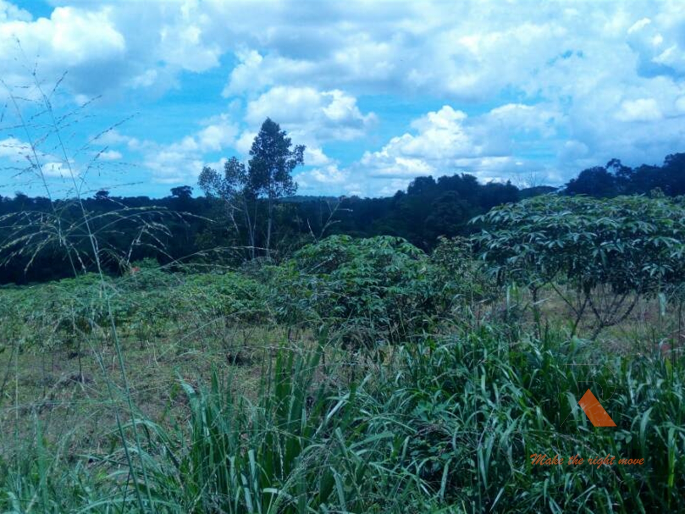 Commercial Land for sale in Bujuuko Mpigi
