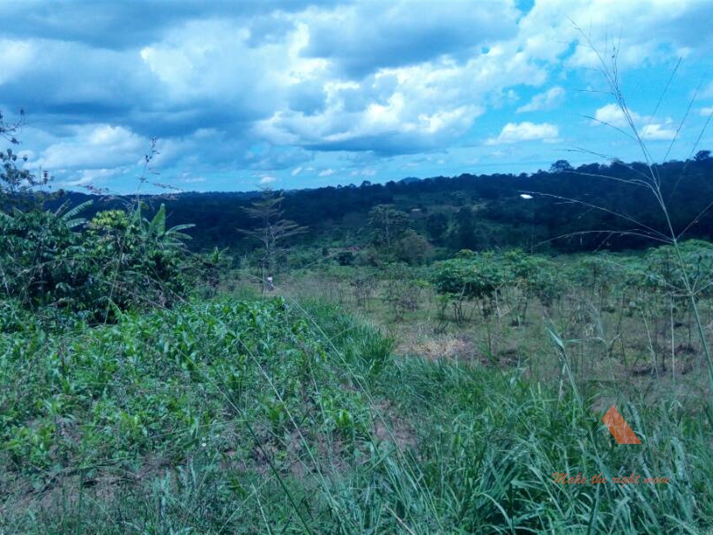 Commercial Land for sale in Bujuuko Mpigi