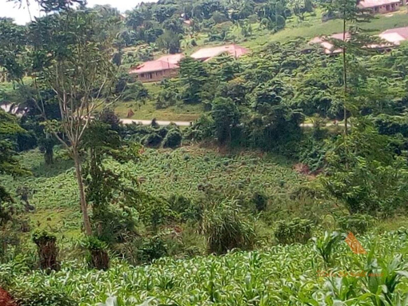 Agricultural Land for sale in Nswengere Mpigi