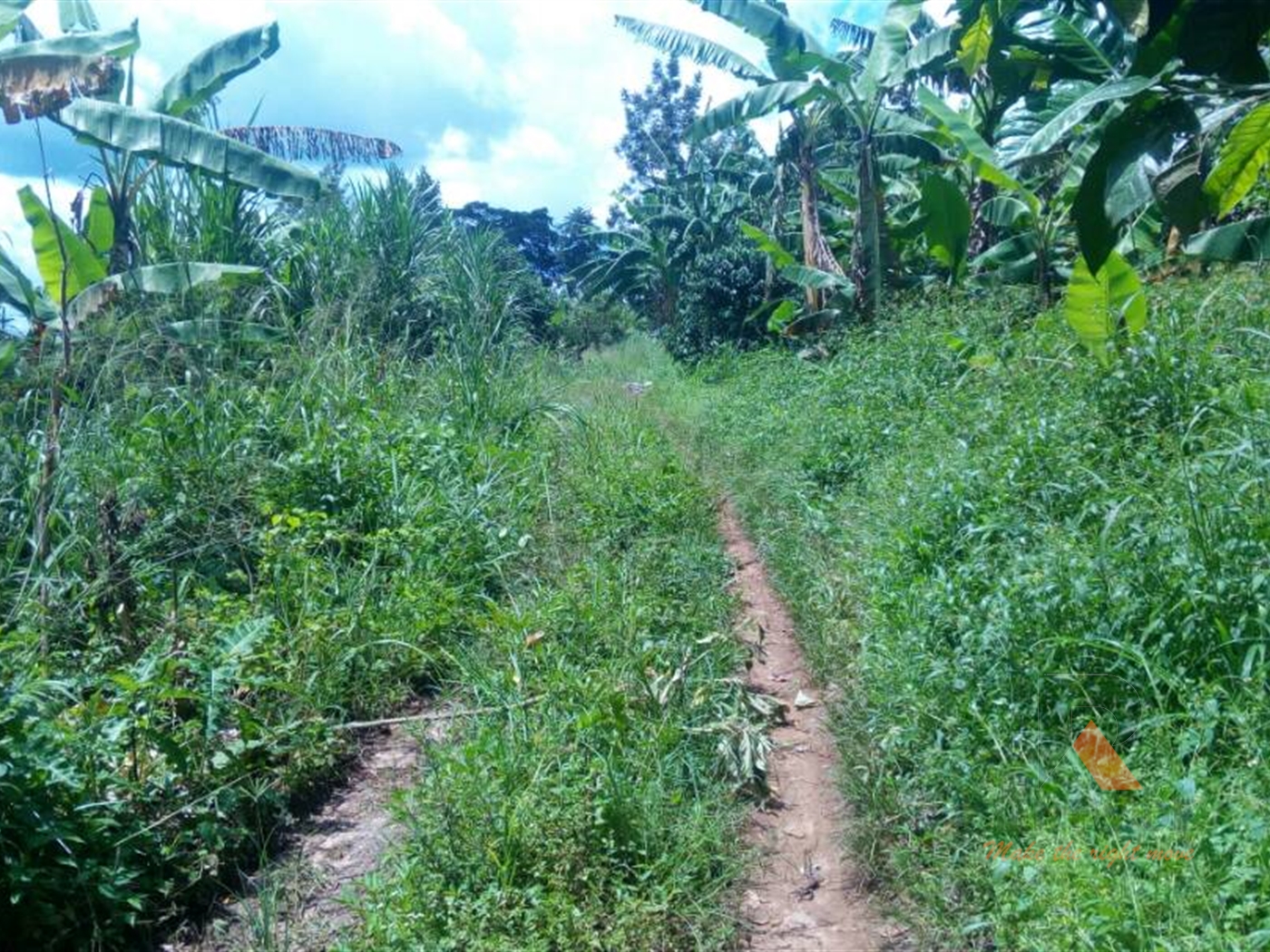 Agricultural Land for sale in Nswengere Mpigi