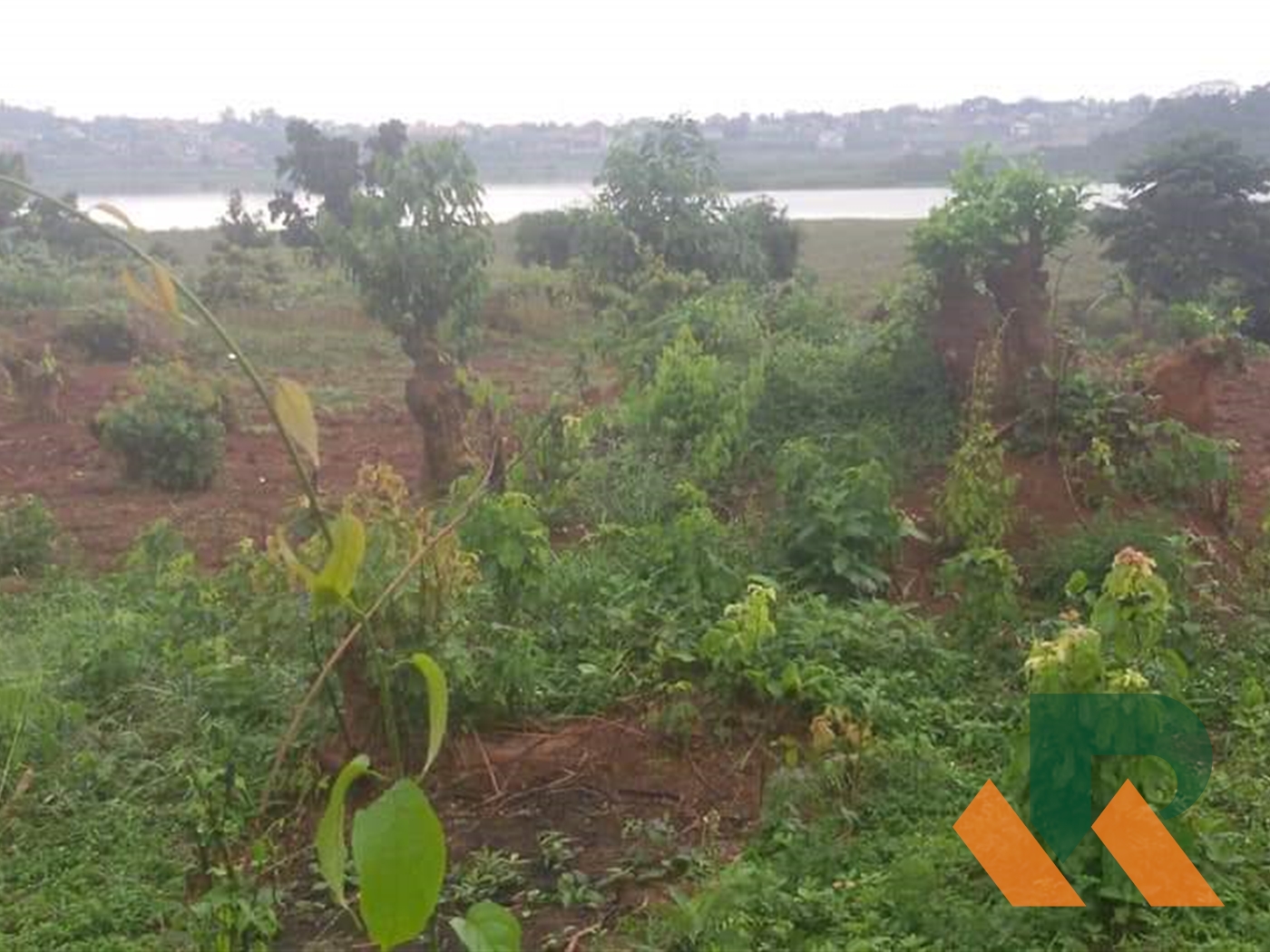 Multipurpose Land for sale in Lutembe Wakiso