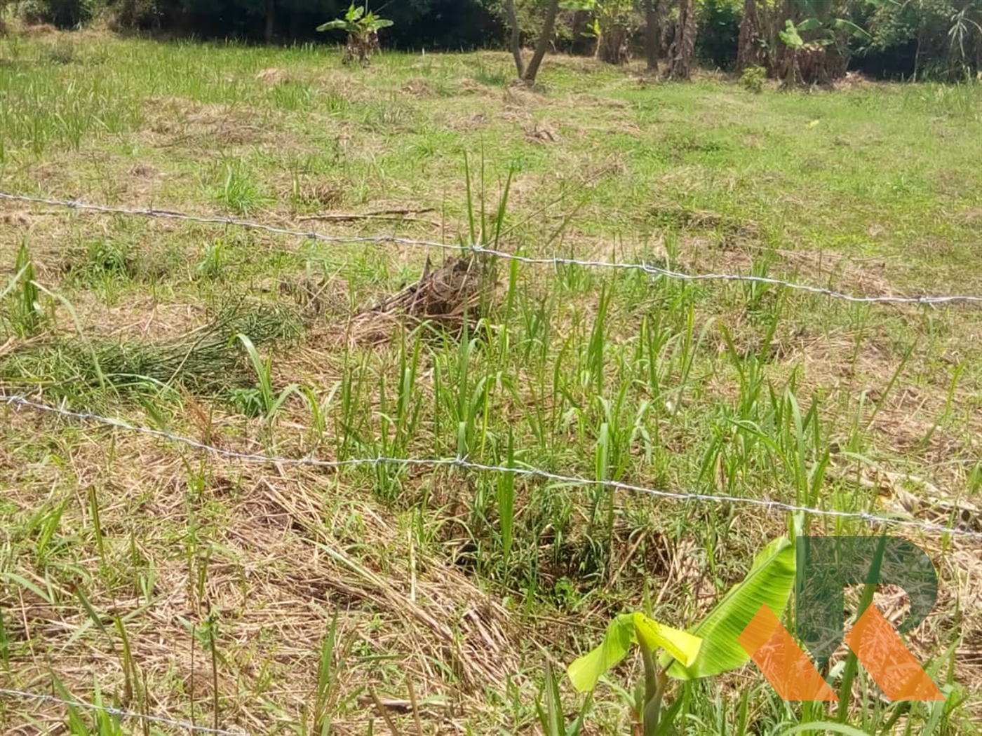 Residential Land for sale in Kajjansi Wakiso