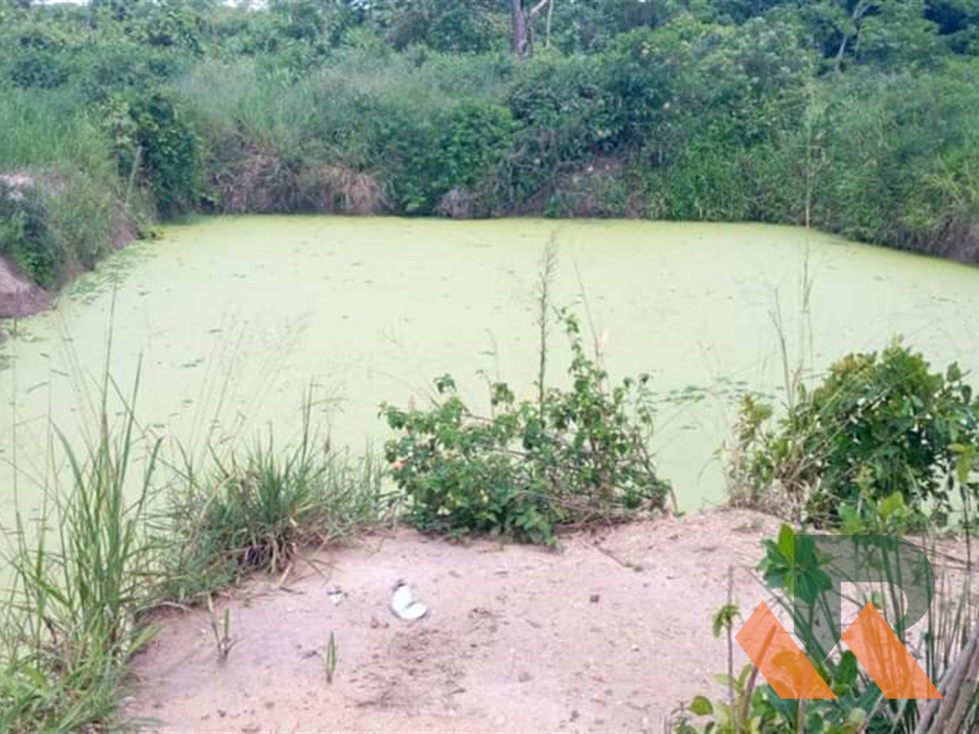 Agricultural Land for sale in Kasana Luweero