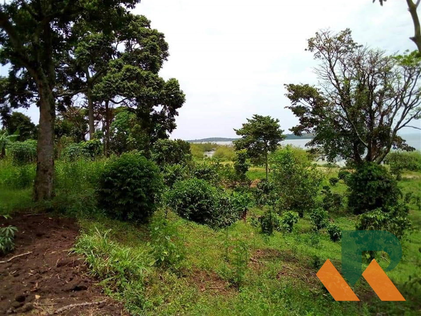Recreational Land for sale in Nkumba Wakiso