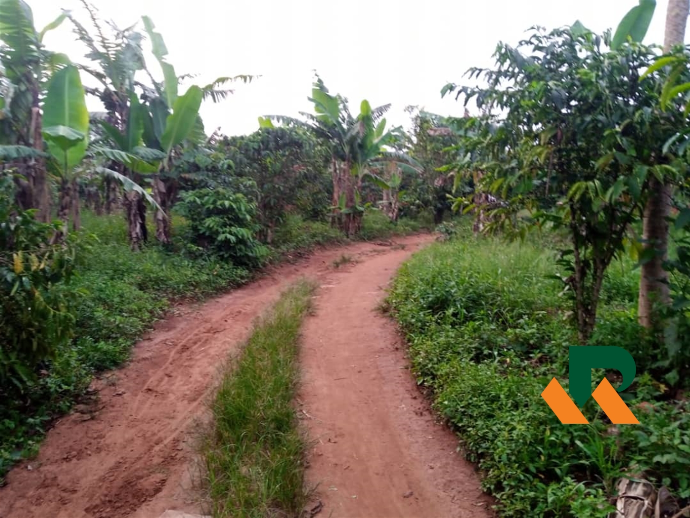 Agricultural Land for sale in Ziloobwe Wakiso