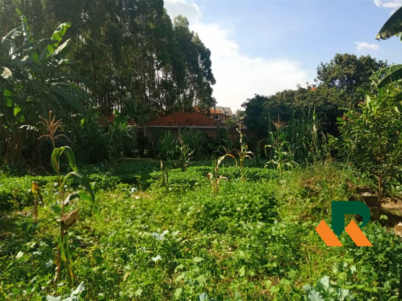 Residential Land for sale in Muyenga Kampala