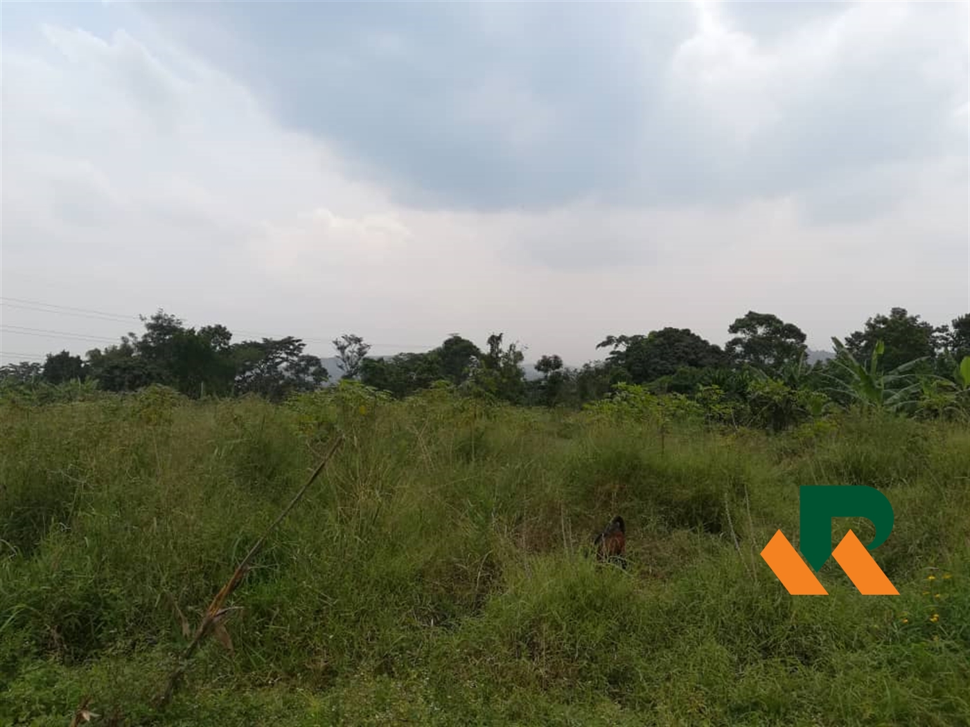 Residential Land for sale in Namawojjolo Mukono