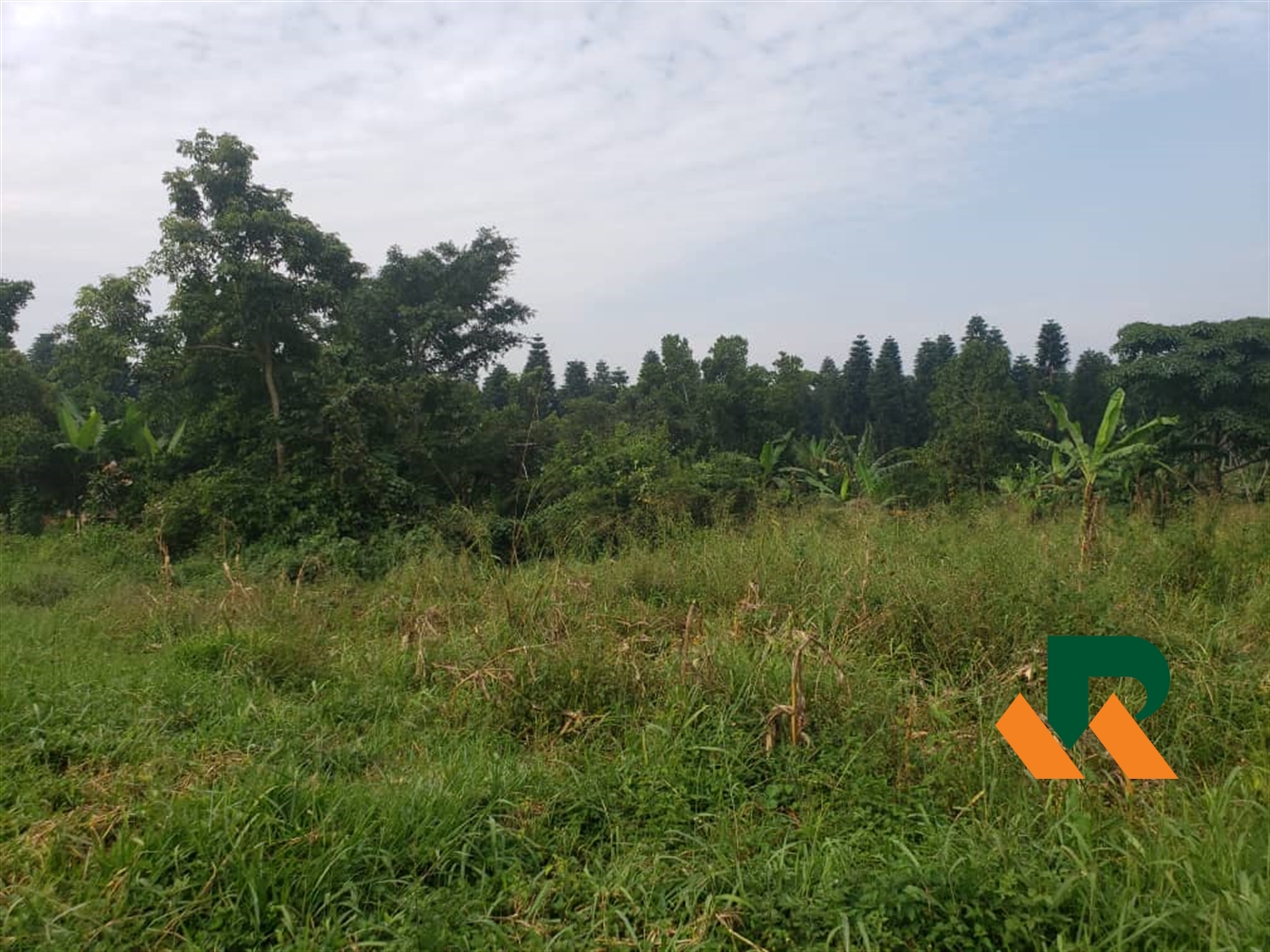 Commercial Land for sale in Bugerere Kayunga