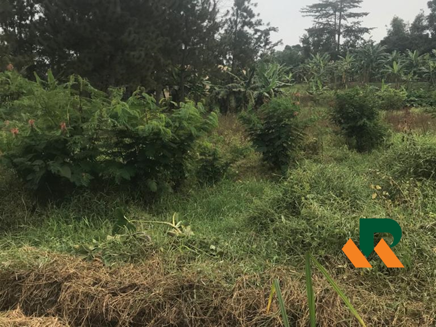 Residential Land for sale in Gayaza Wakiso