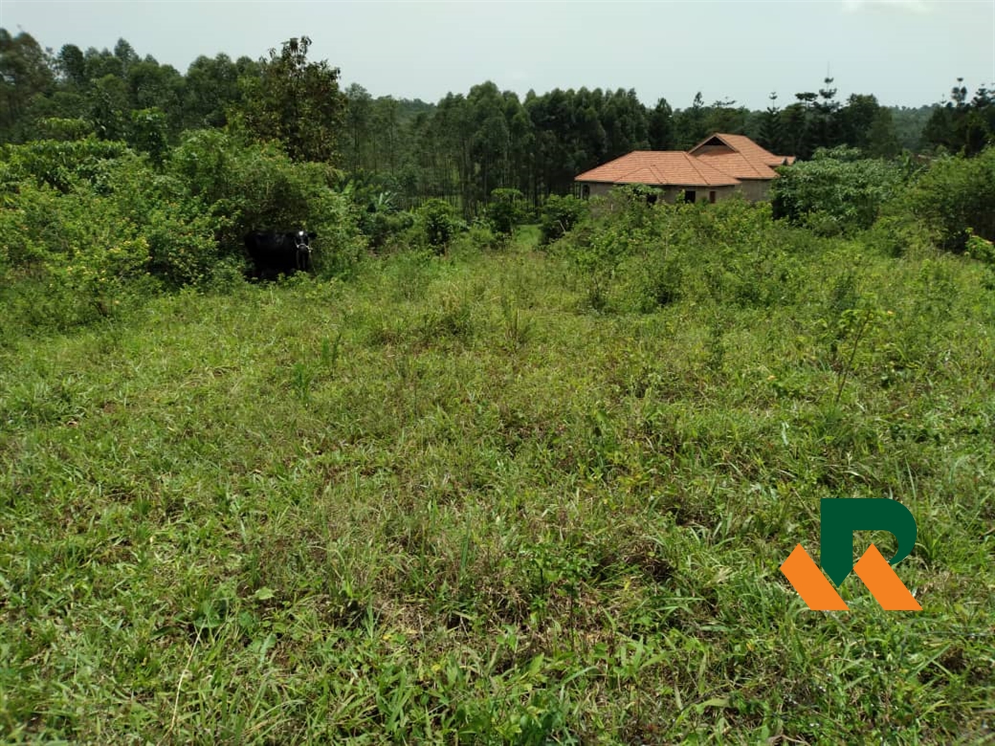 Residential Land for sale in Gayaza Wakiso