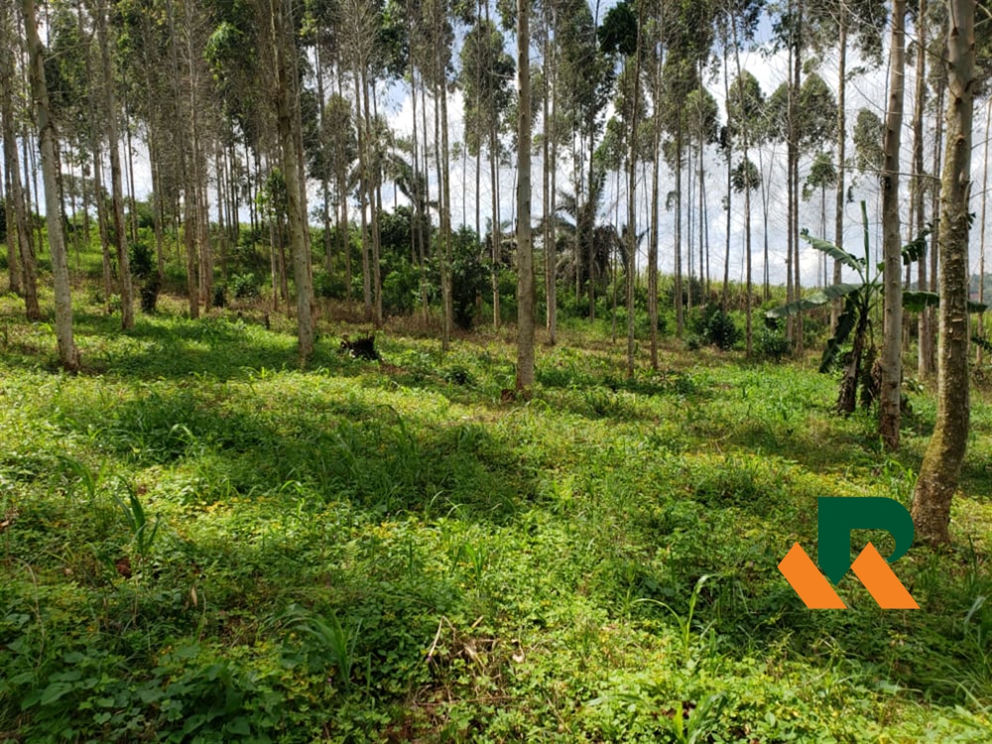 Agricultural Land for sale in Kooba Buyikwe