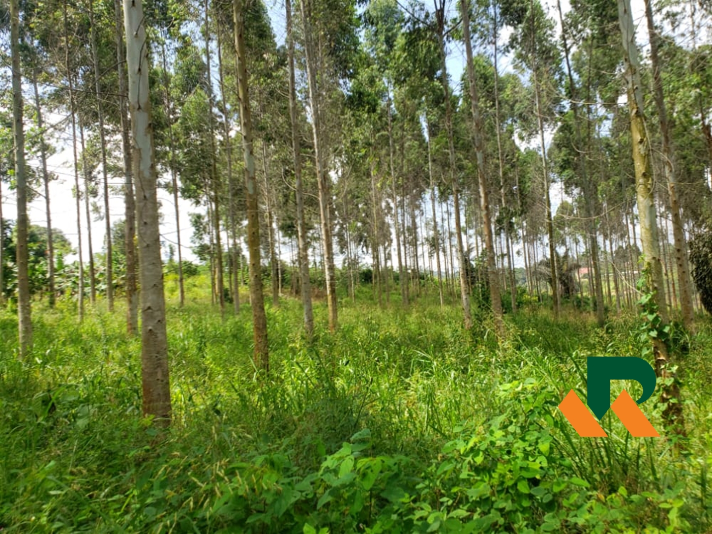 Agricultural Land for sale in Kooba Buyikwe