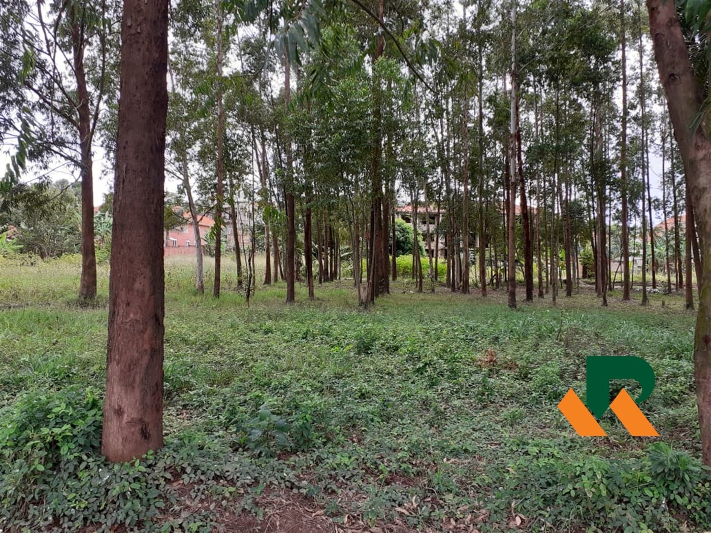 Residential Land for sale in Muyenga Kampala