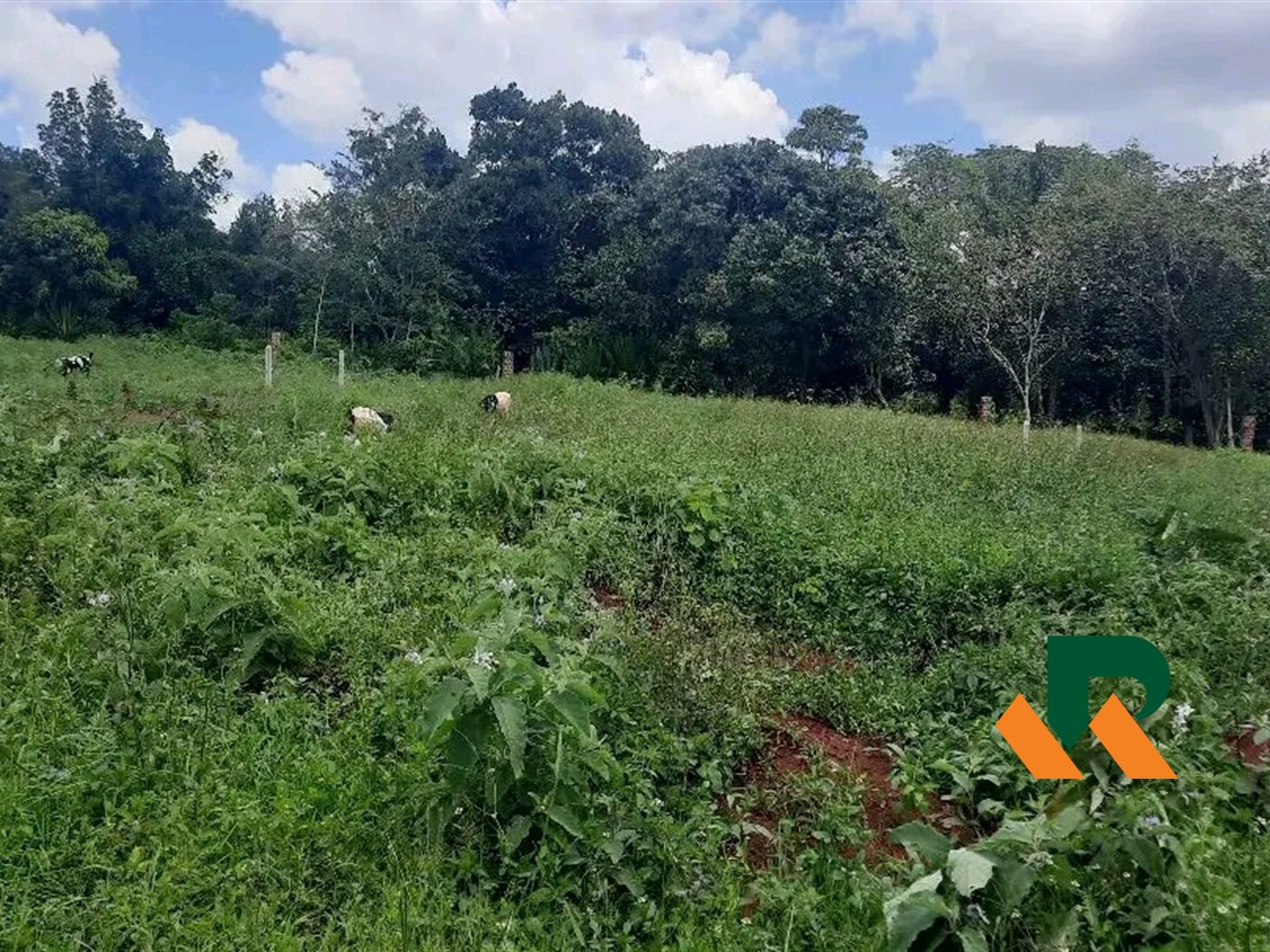 Residential Land for sale in Gayaza Wakiso