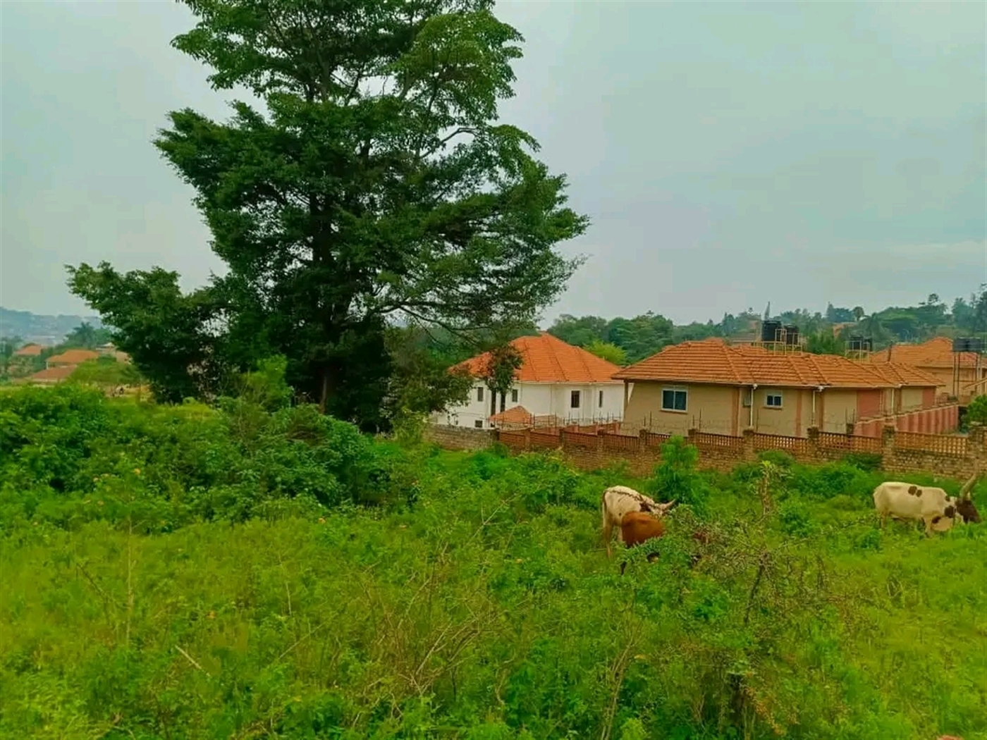 Residential Land for sale in Muyenga Kampala