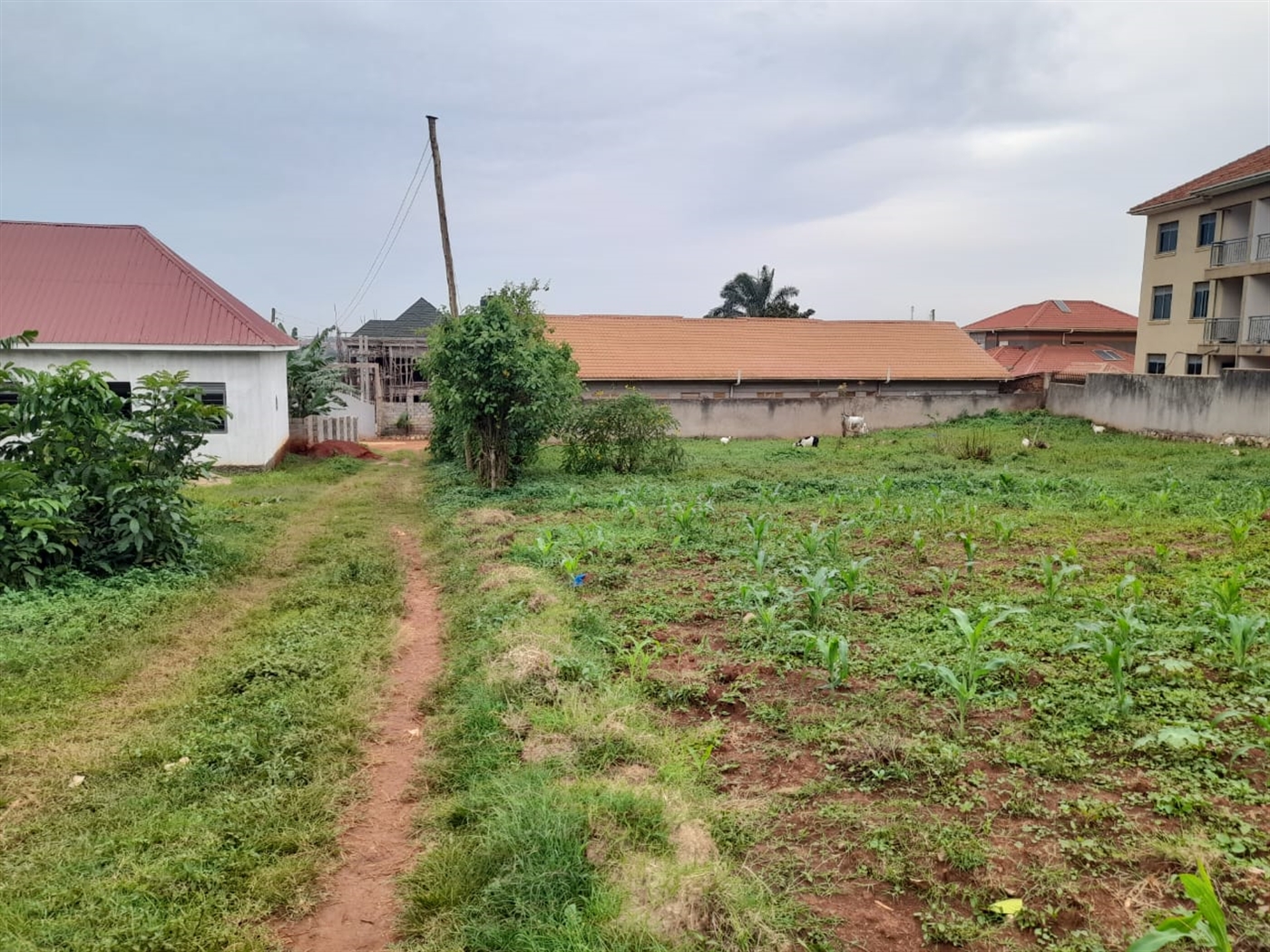 Residential Land for sale in Kyanja Kampala