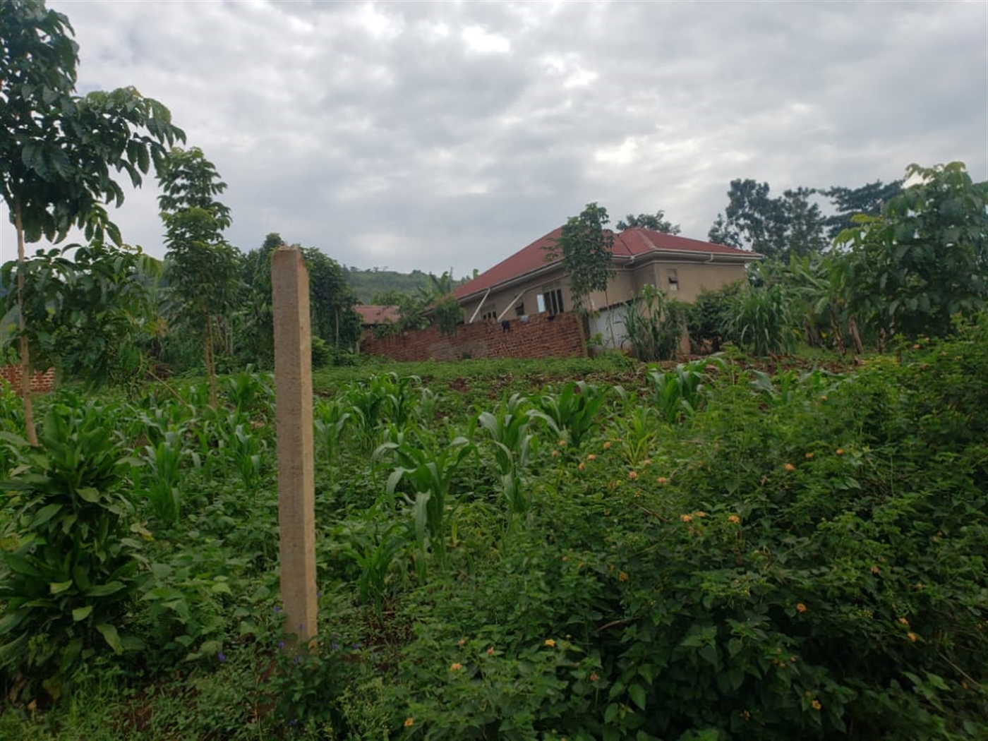 Residential Land for sale in Namawojjolo Mukono