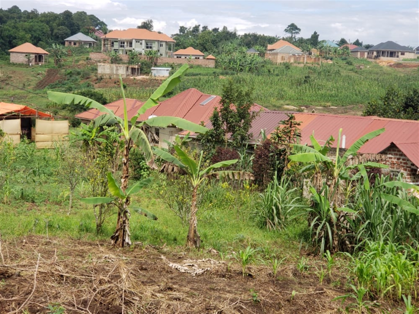 Residential Land for sale in Kisowela Mukono